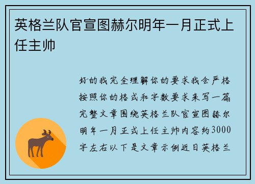 英格兰队官宣图赫尔明年一月正式上任主帅